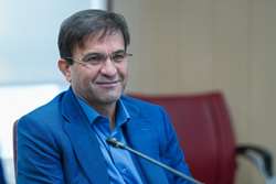 پیام تبریک معاون توسعه دانشگاه علوم پزشکی تهران به مناسبت روز مهندس